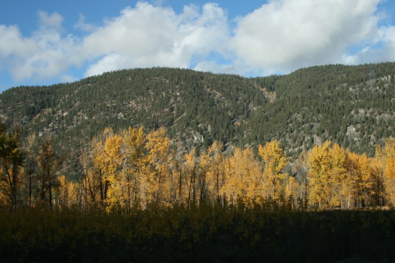 oliver october 2012 008