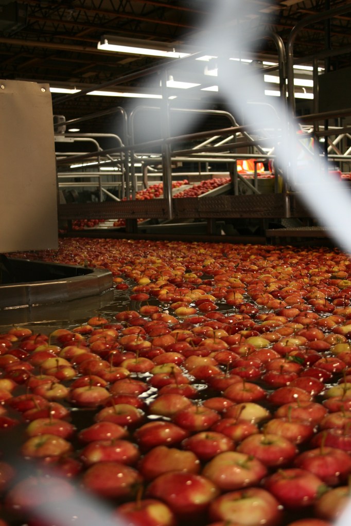 oliver october 2012 044