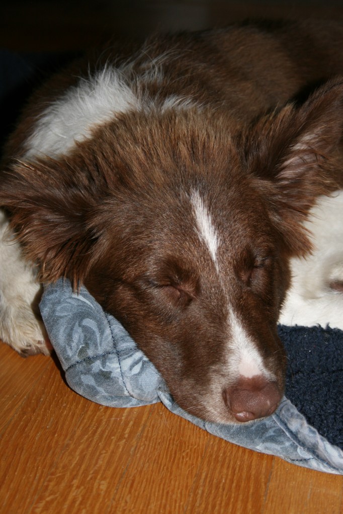 oliver october 2012 077