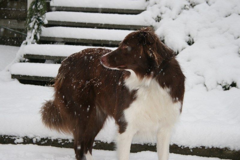 openstudio snow dec2013 065