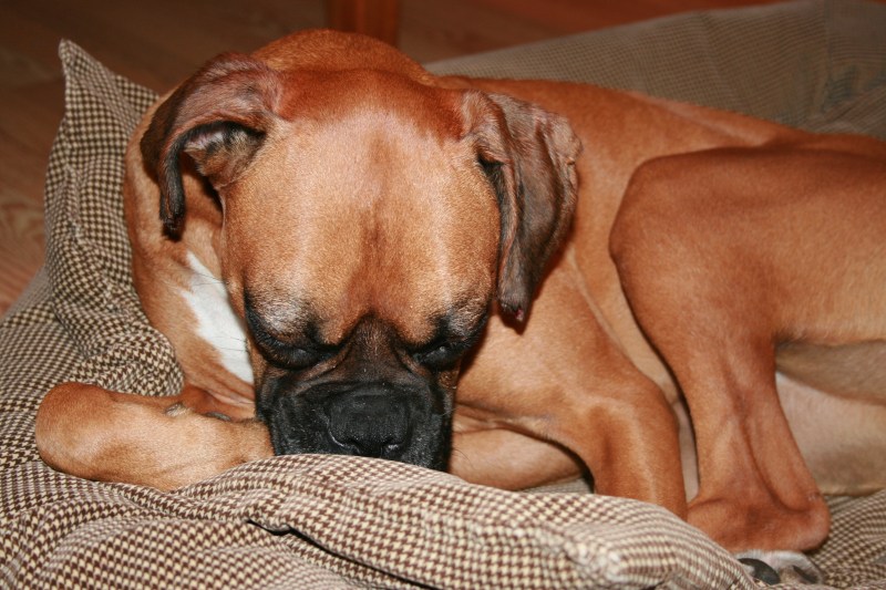 openstudio snow dec2013 088